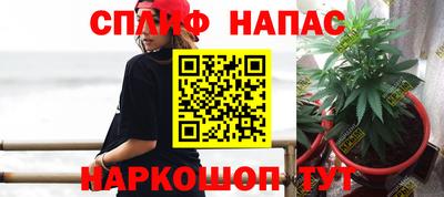 спиды Будённовск