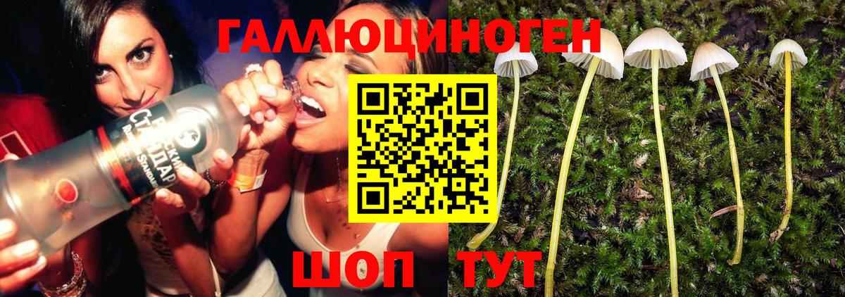 Псилоцибиновые грибы прущие грибы  Вход с VPN  Моршанск 